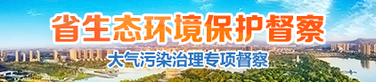省環保督察